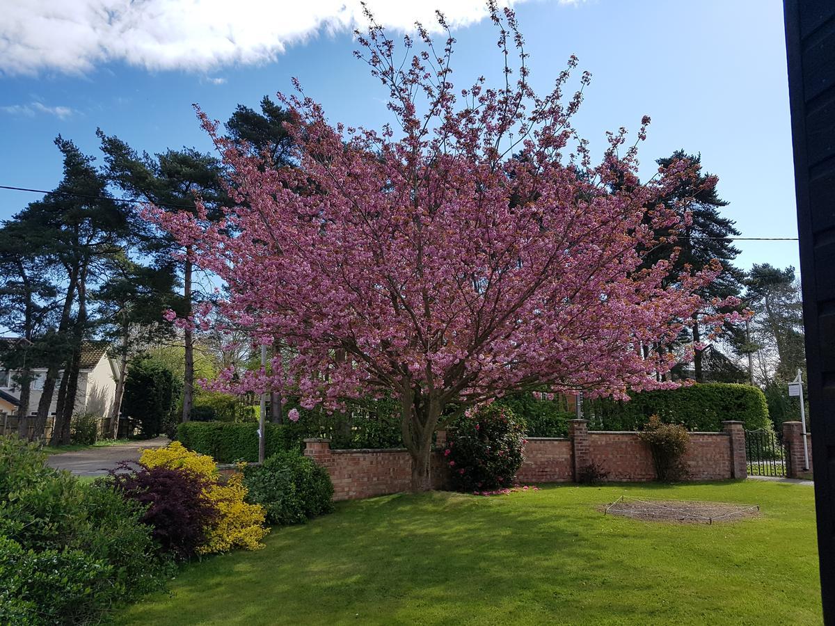 Leeward Bed & Breakfast South Walsham Dış mekan fotoğraf